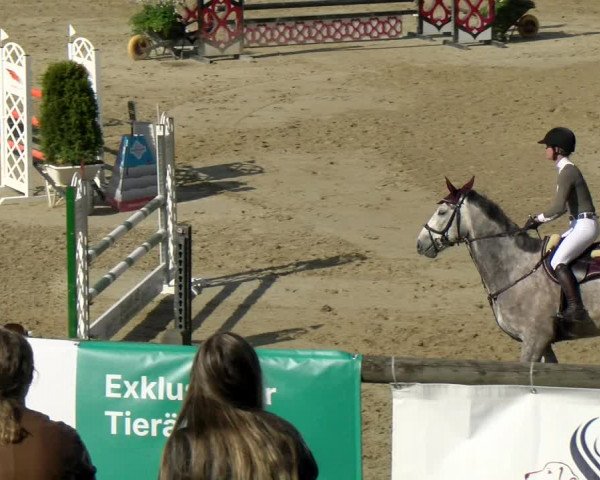 Reitturnier Wädenswil 2022
