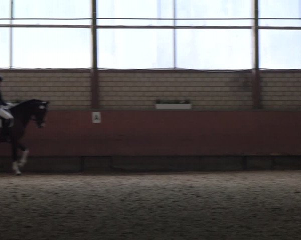 Reitturnier Hellefeld 2022