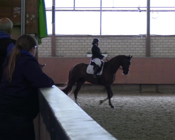 Reitturnier Hellefeld 2022