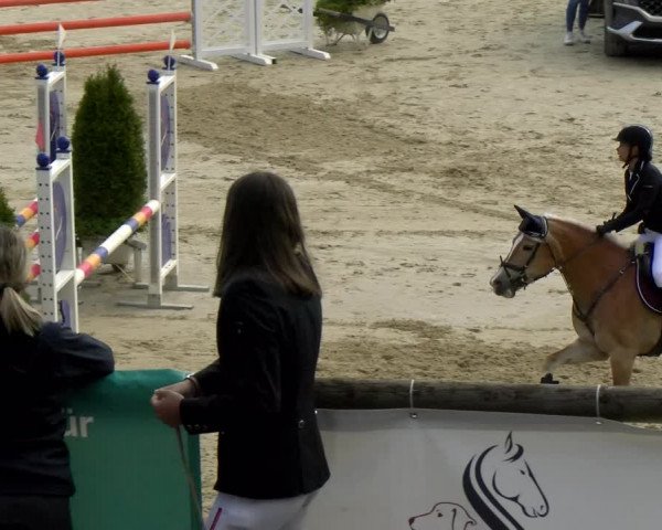 Reitturnier Wädenswil 2022