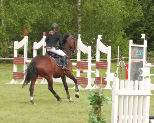 Reitturnier Leingarten 2022