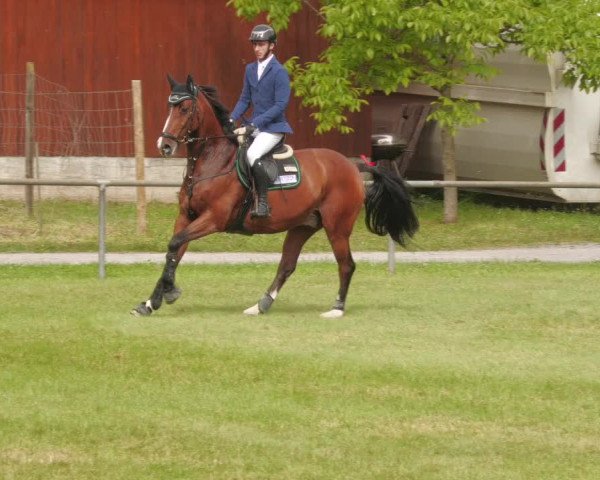 Reitturnier Leingarten 2022