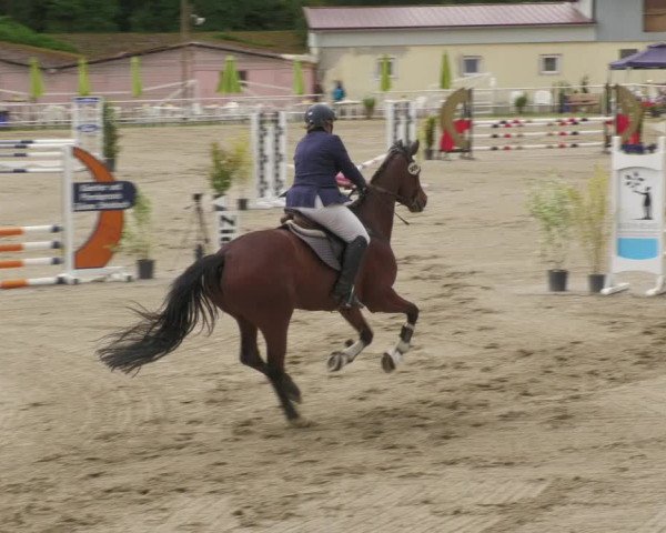 Reitturnier Billigheim 2022