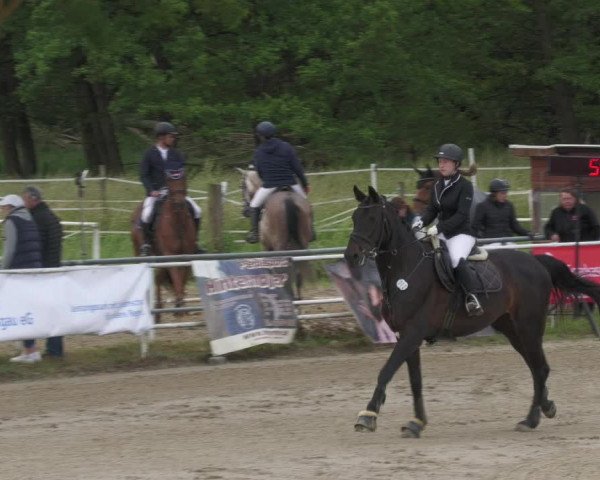 Reitturnier Billigheim 2022