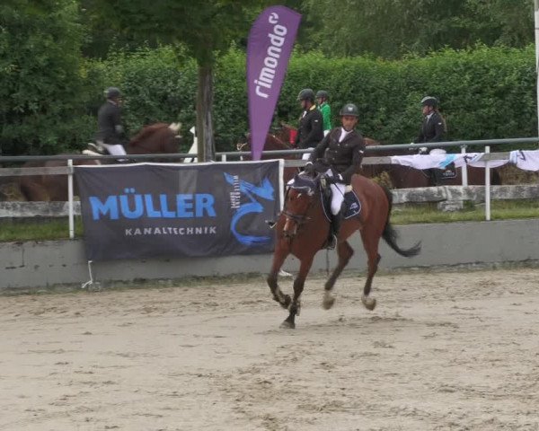 Reitturnier Billigheim 2022