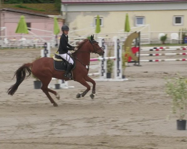 Reitturnier Billigheim 2022