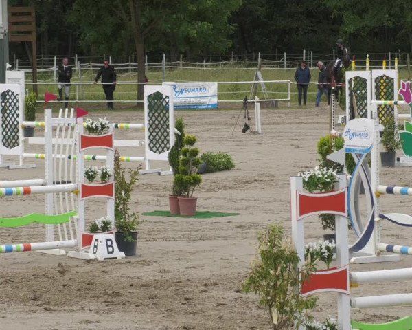 Reitturnier Billigheim 2022