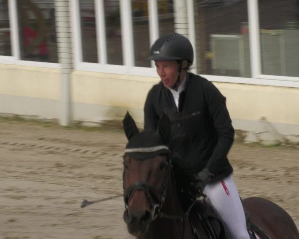 Reitturnier Billigheim 2022