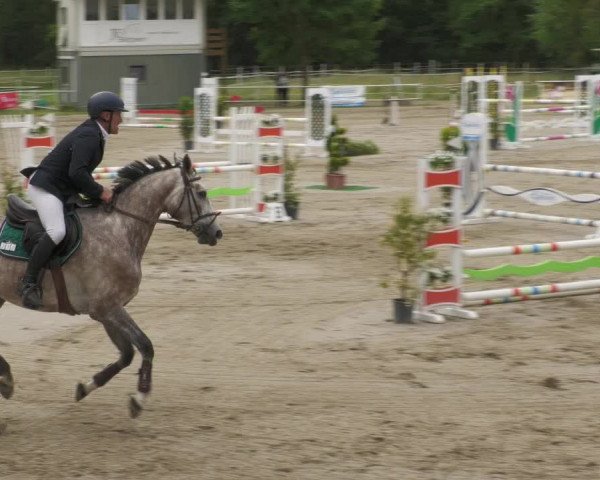 Reitturnier Billigheim 2022