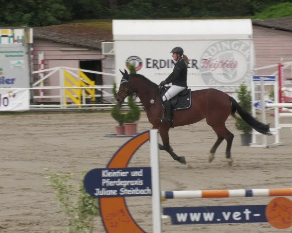 Reitturnier Billigheim 2022