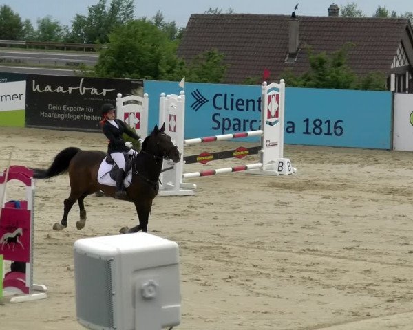 Reitturnier Wädenswil 2022