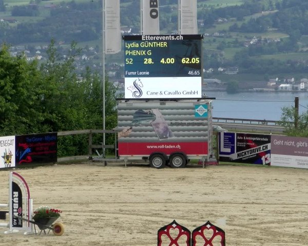 Reitturnier Wädenswil 2022