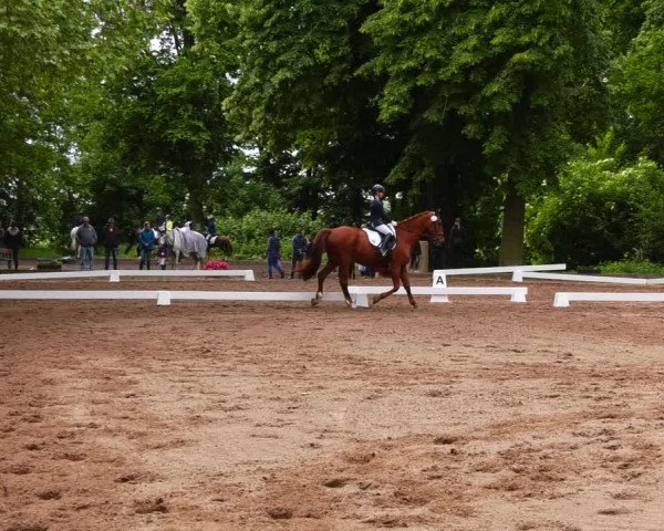 Reitturnier Königsborn 2022