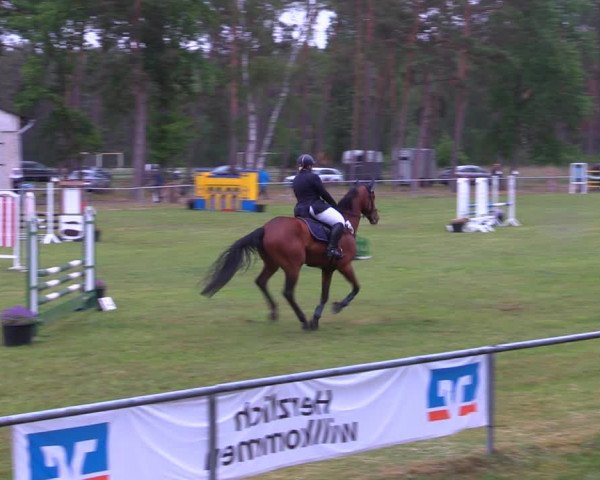 Reitturnier Kakerbeck 2022