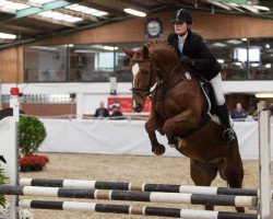 dressage horse Romantic Love (Oldenburg, 2006, from Ramoneur 6)