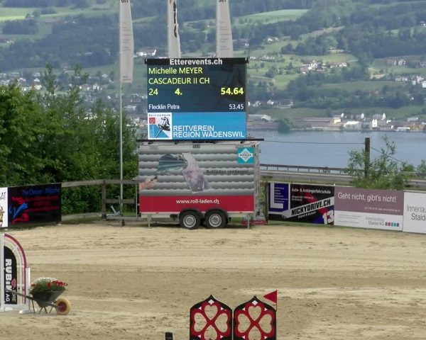 Reitturnier Wädenswil 2022