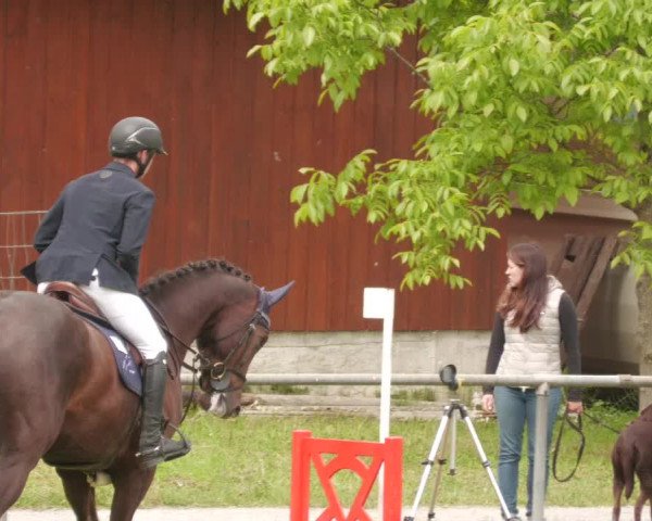 Reitturnier Leingarten 2022