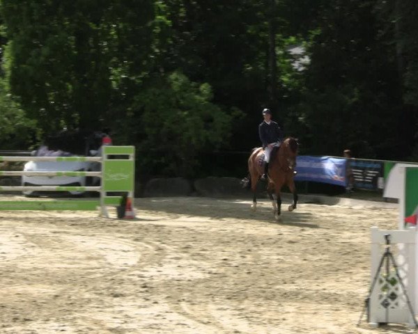 Reitturnier Hellefeld 2022