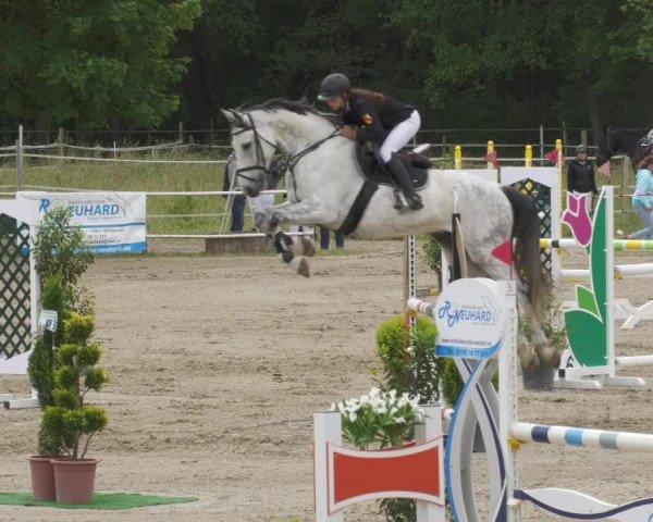Reitturnier Billigheim 2022