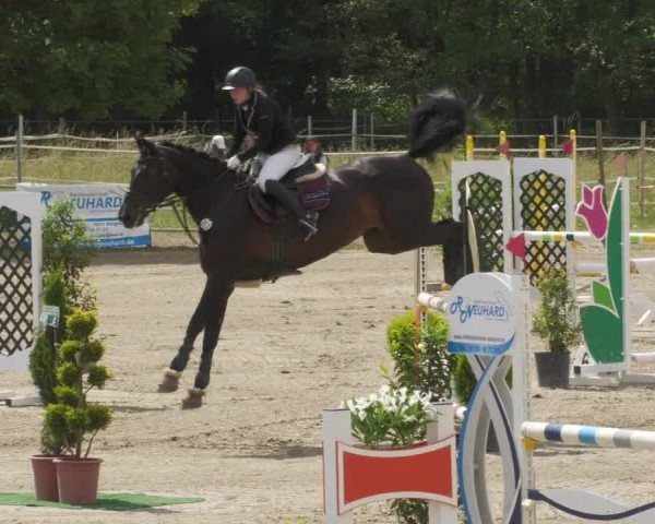 Reitturnier Billigheim 2022