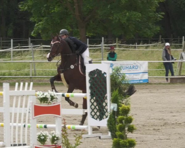 Reitturnier Billigheim 2022