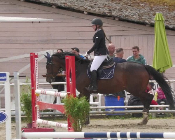 Reitturnier Billigheim 2022