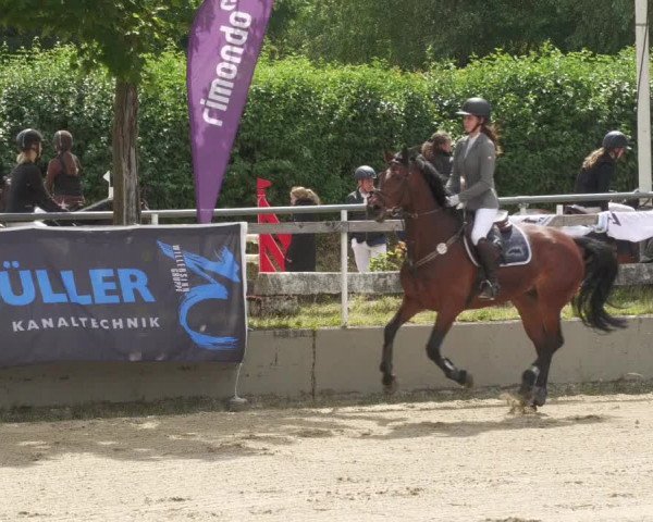Reitturnier Billigheim 2022
