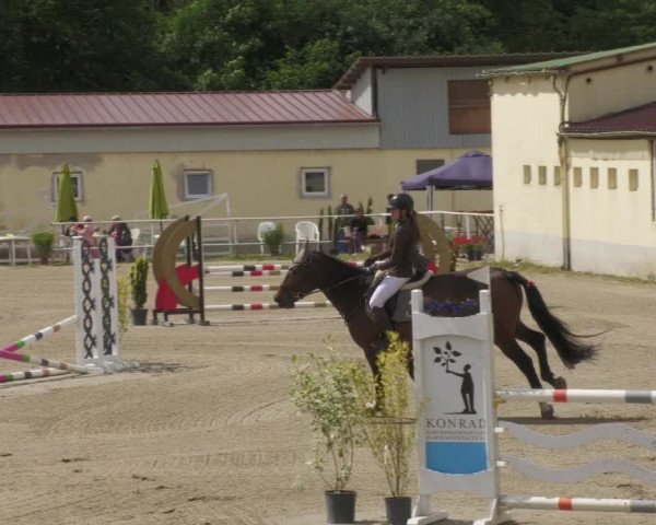 Reitturnier Billigheim 2022