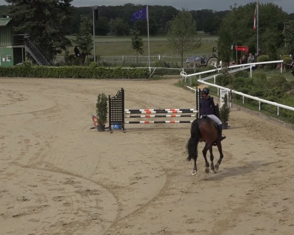 Reitturnier Bornheim-Widdig 2022