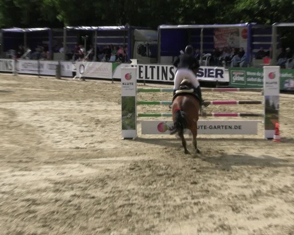 Reitturnier Hellefeld 2022