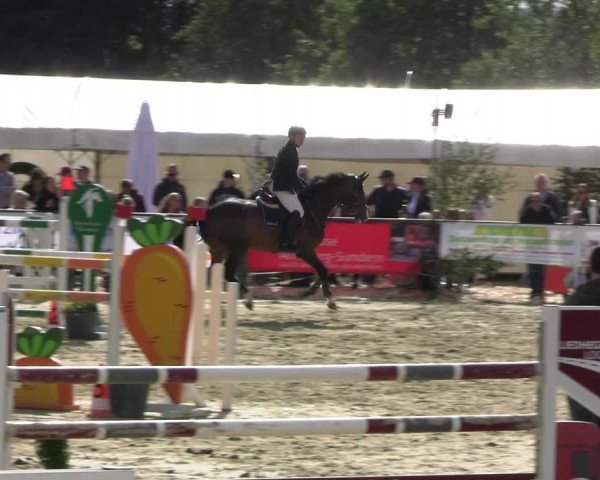 Reitturnier Hellefeld 2022