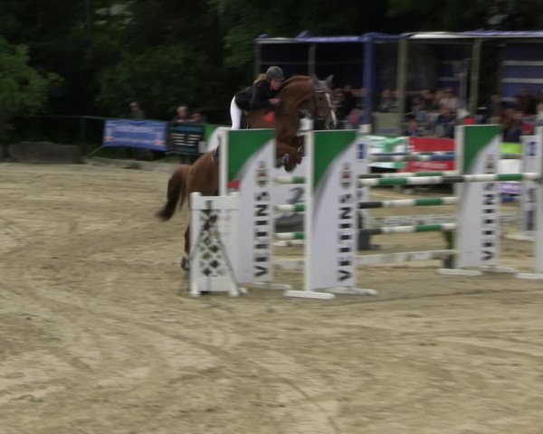 Reitturnier Hellefeld 2022