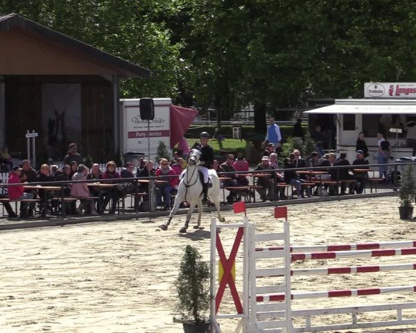 Reitturnier Hamm-Rhynern 2022