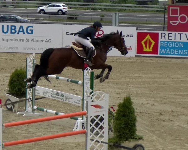 Reitturnier Wädenswil 2022