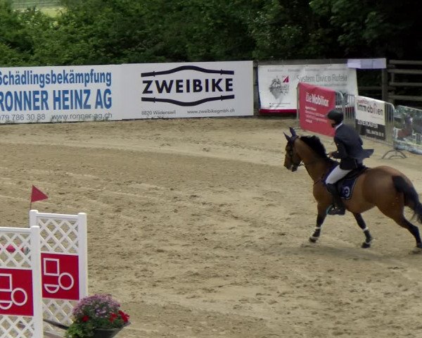 Reitturnier Wädenswil 2022