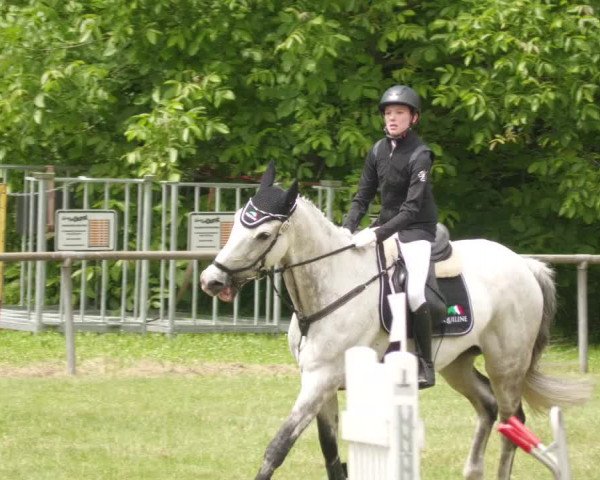 Reitturnier Leingarten 2022