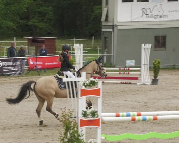 Reitturnier Billigheim 2022