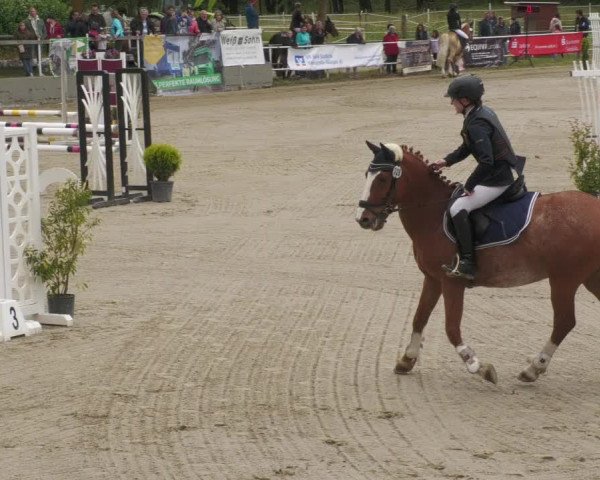 Reitturnier Billigheim 2022