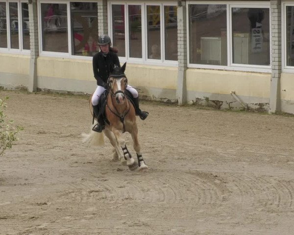 Reitturnier Billigheim 2022