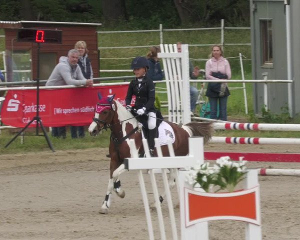 Reitturnier Billigheim 2022