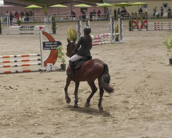 Reitturnier Billigheim 2022