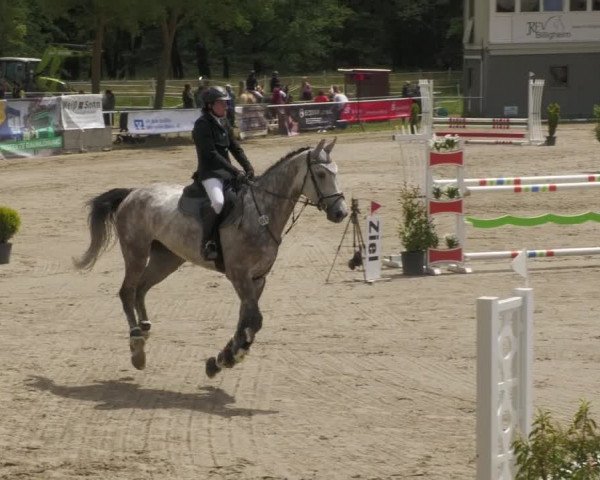 Reitturnier Billigheim 2022