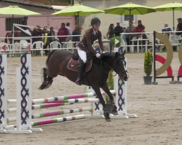 Reitturnier Billigheim 2022