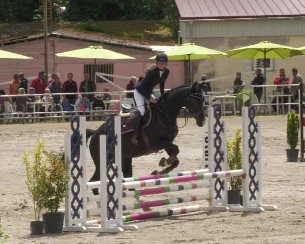 Reitturnier Billigheim 2022