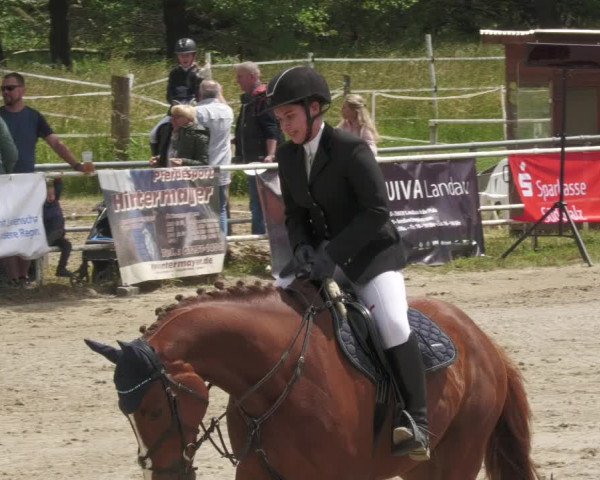 Reitturnier Billigheim 2022