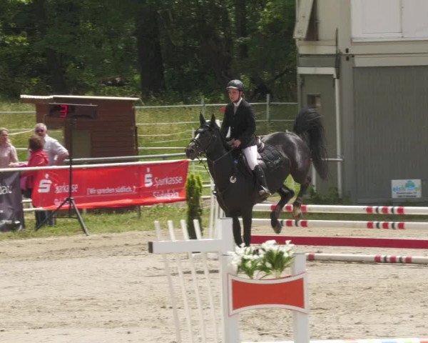 Reitturnier Billigheim 2022