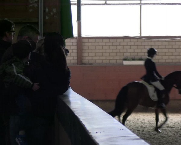 Reitturnier Hellefeld 2022