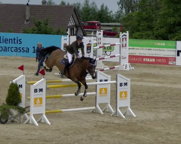 Reitturnier Wädenswil 2022
