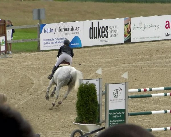 Reitturnier Wädenswil 2022