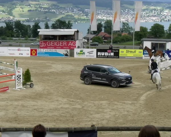 Reitturnier Wädenswil 2022